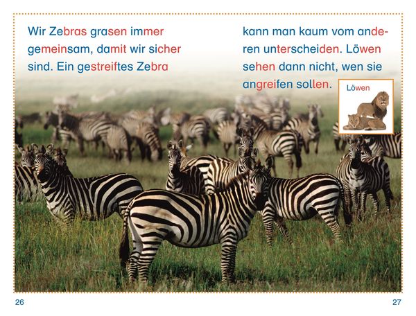 SUPERLESER! Tiere, top getarnt - DK Verlag