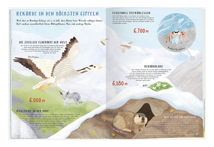 Buch Verrückte Naturrekorde – Kinderbuch mit Goldfolie & Naturwissen ab 6 Jahren