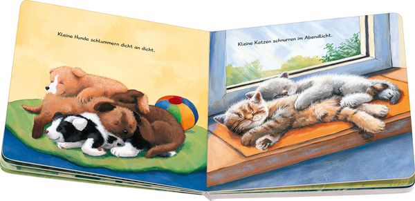 Tierkinder schlafen gehen Bilderbuch gute Nacht ab 12 Monaten