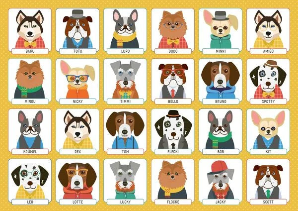 Ratespiel mit Ja-Nein-Fragen für Kinder und Familien