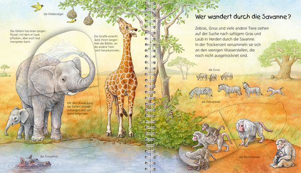 Wieso? Weshalb? Warum? Mein junior - Lexikon: Tiere - Ravensburger