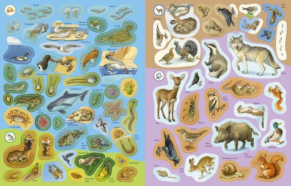 Wieso? Weshalb? Warum? Stickerheft: Heimische Tiere - Ravensburger