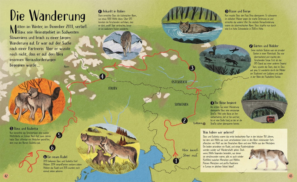 Kinder lesen über Orcas und ihre Wanderung