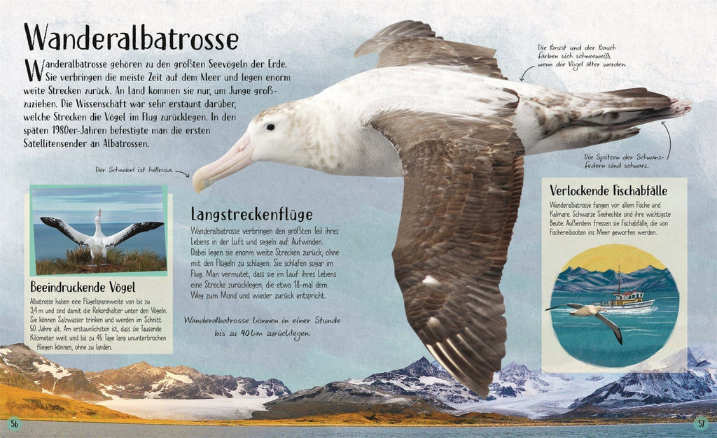Aufgeschlagenes Tierbuch mit Karte und Tierfoto