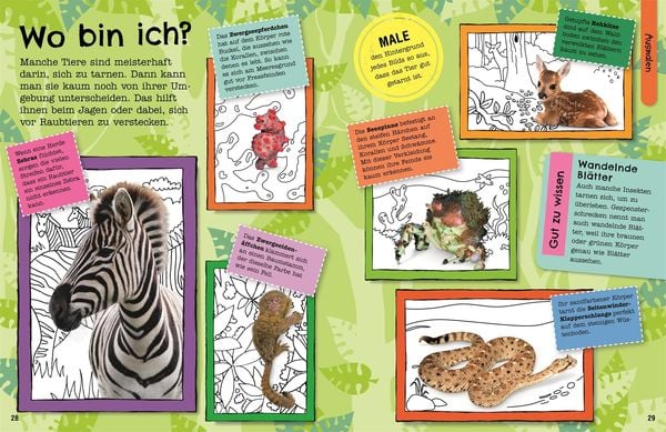 Wissens Kick Tiere - Malen, Rätseln, Entdecken - DK Verlag