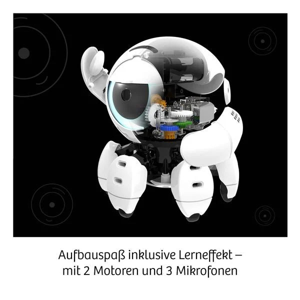 Wissenschaftsset - Roboter Bitsy - Kosmos