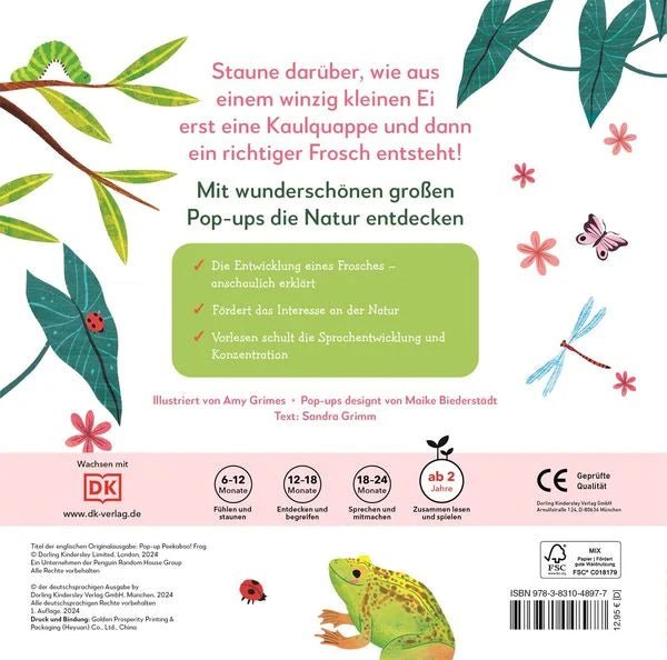 Wo kommst Du her kleiner Frosch ? - Pop up - DK Verlag