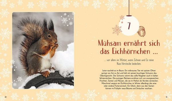 Weihnachtsbuch Adventskalender – Wundervolle Welt mit 24 Geschichten, Bastelanleitungen und Rezepten