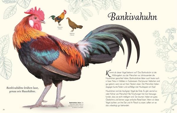 Kinder-Naturbuch Vögel mit Goldfolie, Lesebändchen und Fotos
