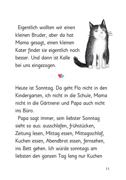 Erstlesebuch mit kurzen Kapiteln und serifenloser Schrift