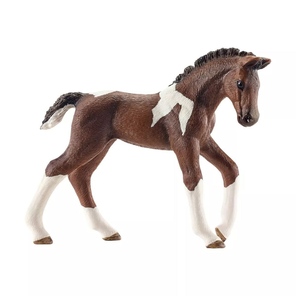 Schleich® Horse Club - Trakehner Fohlen - Schleich